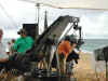 Bear Arms Hawaii beach shoot.JPG (32926 bytes)